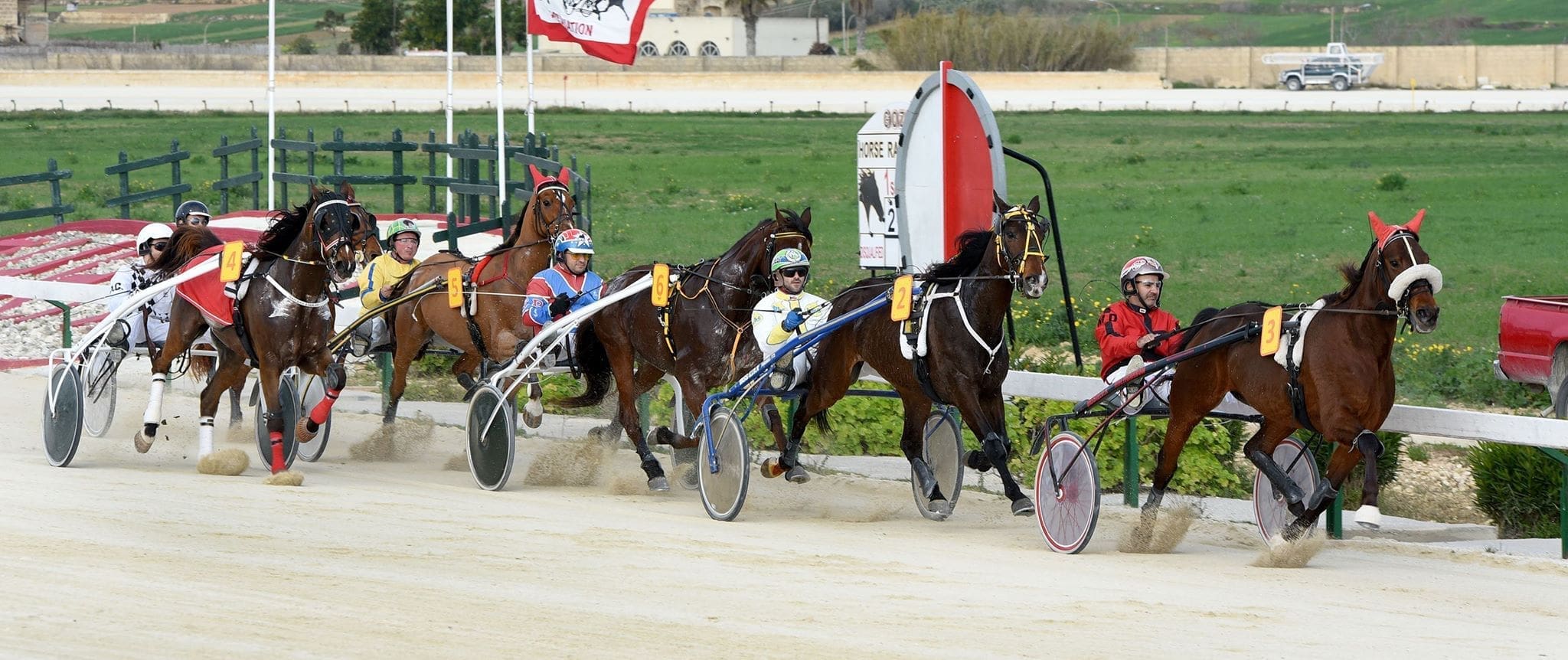 Gozo's Hoofbeats: The Enduring Culture of Horses and Street Racing