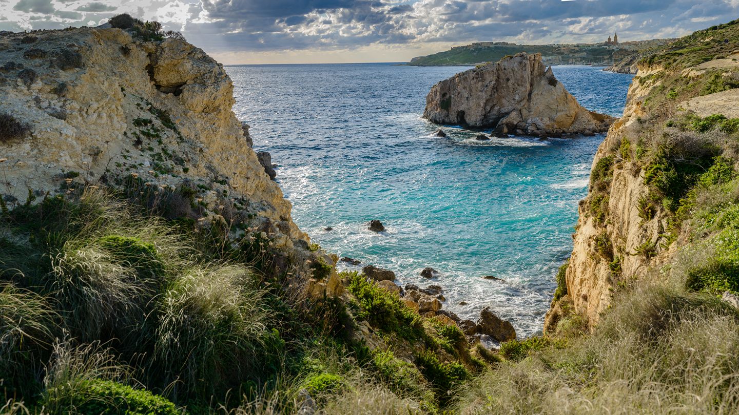Viewpoint  — photo