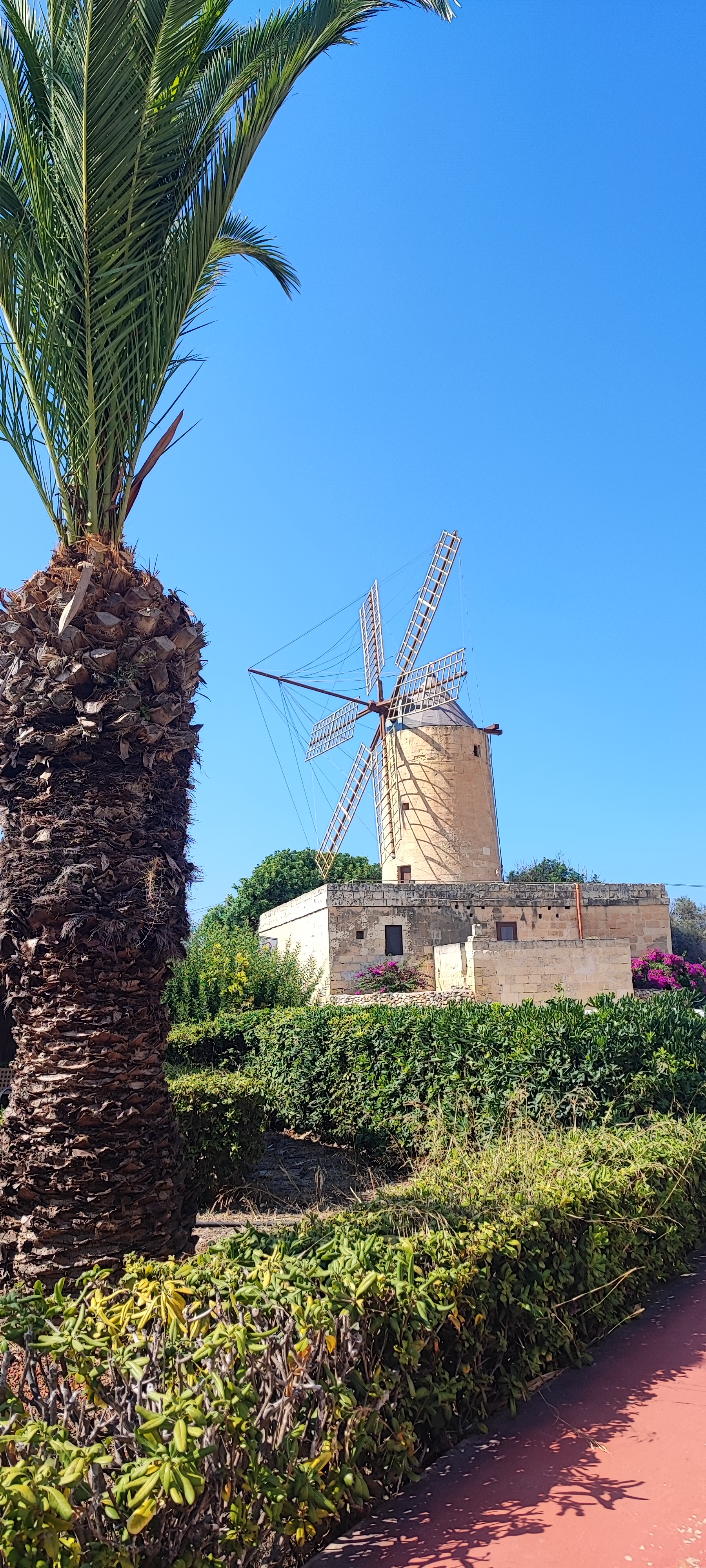 Ta' Kola Windmill — photo
