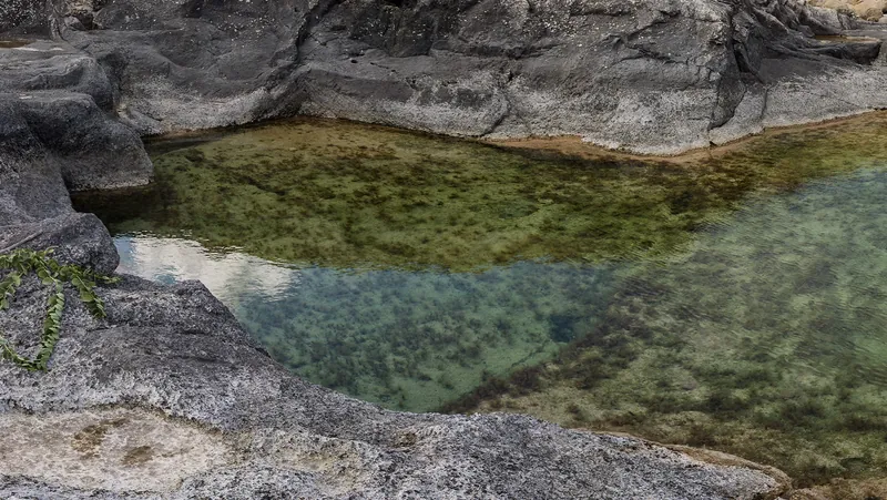 Qala Pool — photo
